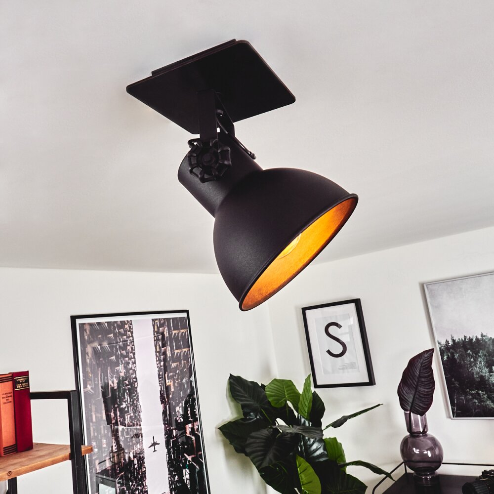 Hora Deckenleuchte Schwarz, 1-flammig main product photo