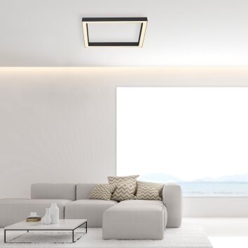 Paul Neuhaus PURE-LINES Deckenleuchte LED Anthrazit, 1-flammig, Fernbedienung