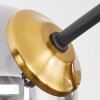 Chehalis Deckenleuchte Messing, Schwarz, 6-flammig