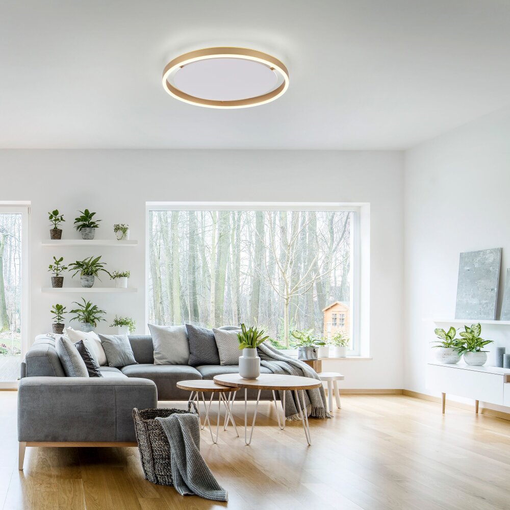 Leuchten Direkt RITUS Deckenleuchte LED Messing, 1-flammig main product photo