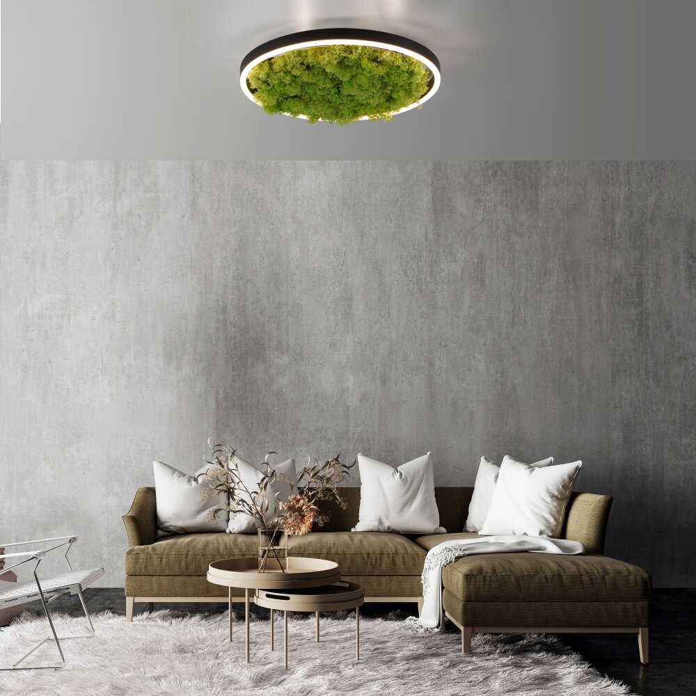 Leuchten Direkt GREEN RITUS Deckenleuchte LED Schwarz, 1-flammig main product photo