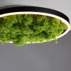 Leuchten Direkt GREEN RITUS Deckenleuchte LED Schwarz, 1-flammig