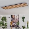 Tandragee Deckenpanel LED Holzoptik, Schwarz, 1-flammig
