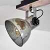 Hora Deckenleuchte Silber, 3-flammig