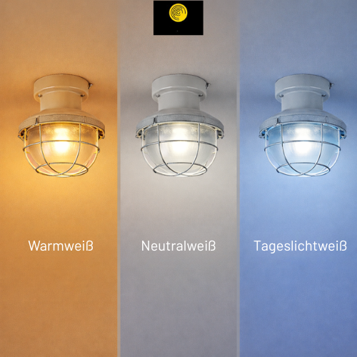 Unterschiedliche Lichtfarben im Keller