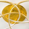 Glen Deckenleuchte LED Gold, 1-flammig, Fernbedienung