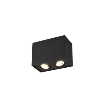 Trio Leuchten BISCUIT Deckenleuchte Schwarz, 2-flammig Trio Leuchten BISCUIT Deckenleuchte Schwarz, 2-flammig