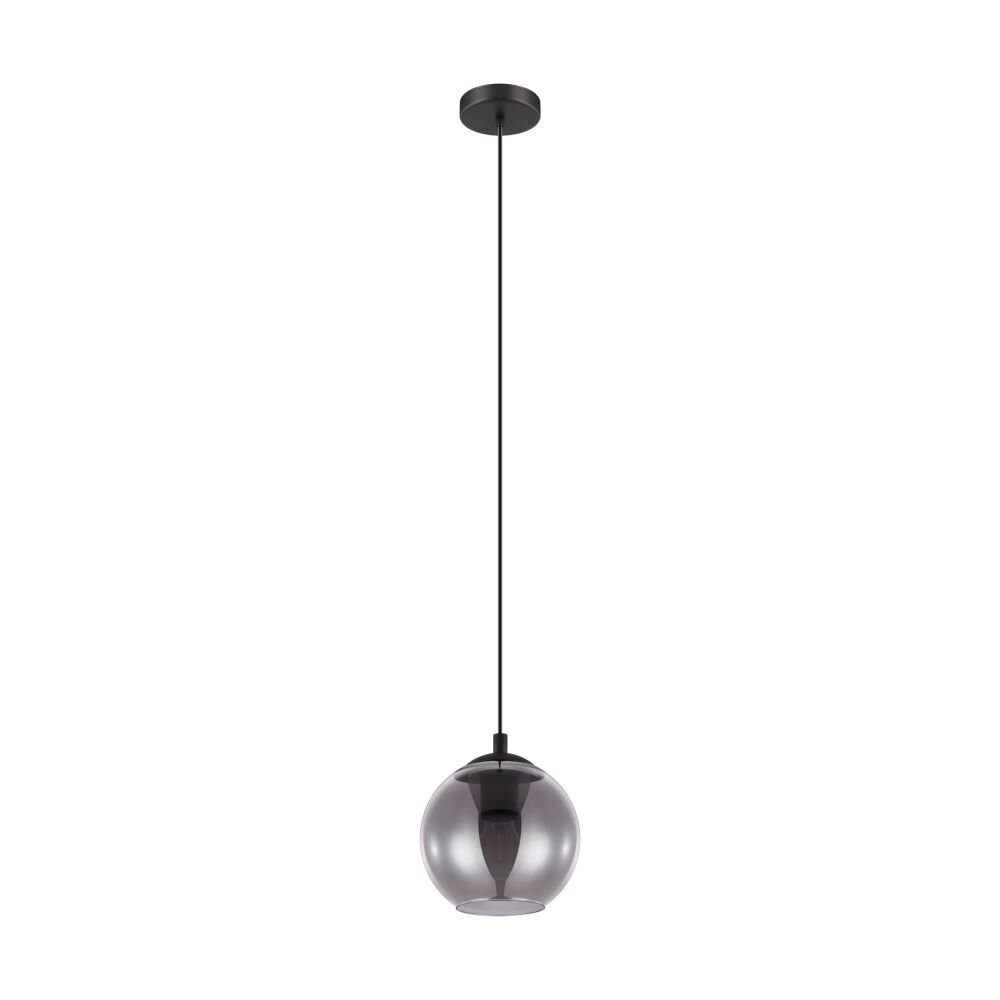 EGLO ARISCANI Hängeleuchte Schwarz, 1-flammig main product photo