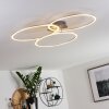 Johsa Deckenleuchte LED Nickel-Matt, Silber, 3-flammig