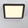 Siguna LED Panel Schwarz, Weiß, 1-flammig