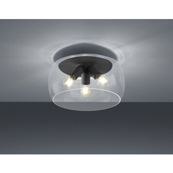 Trio Leuchten Valente Deckenleuchte LED Anthrazit, 3-flammig Trio Leuchten Valente Deckenleuchte LED Anthrazit, 3-flammig