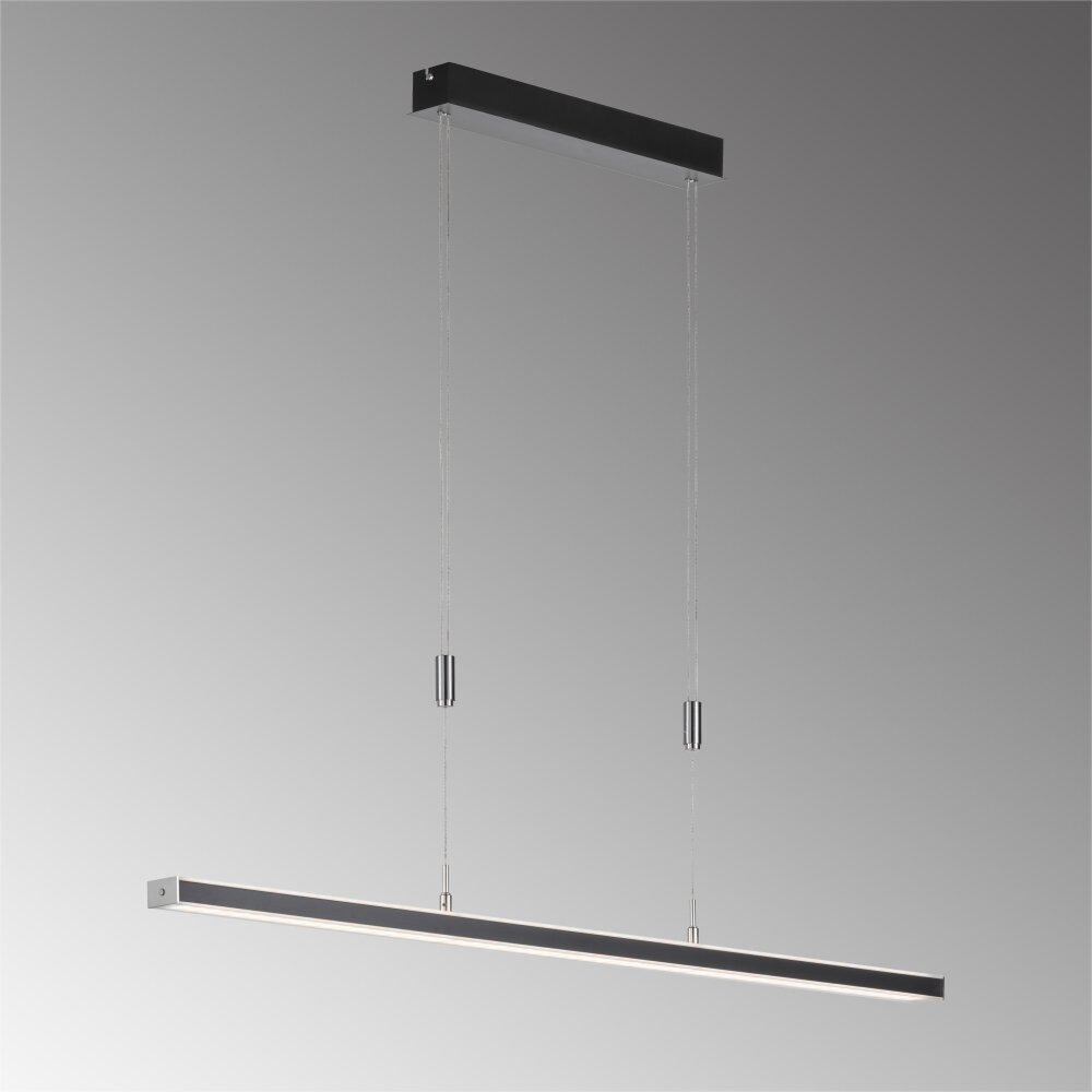Fischer & Honsel Vitan Pendelleuchte LED Schwarz, 1-flammig main product photo