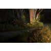 Philips Hue Ambiance White & Color Lily XL Outdoor Spot Erweiterung LED Schwarz, 1-flammig, Farbwechsler