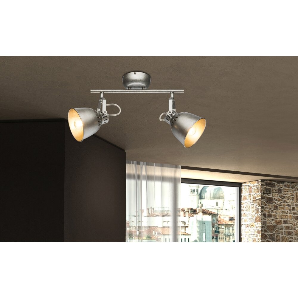 Globo Hernan Deckenstrahler Grau, Silber, 2-flammig main product photo