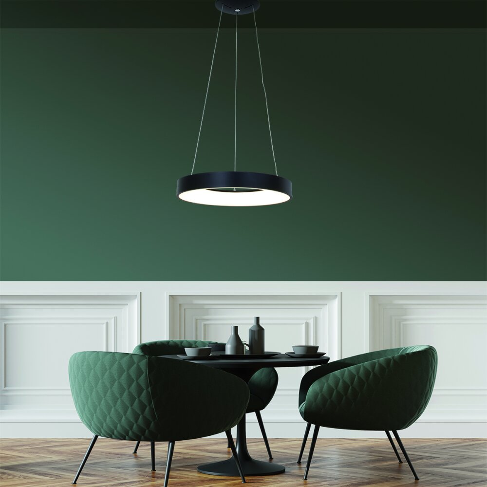Steinhauer Ringlede Pendelleuchte Schwarz, Weiß, 1-flammig main product photo