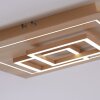 Paul Neuhaus Q-LINEA Deckenleuchte LED Holz hell, 4-flammig, Fernbedienung