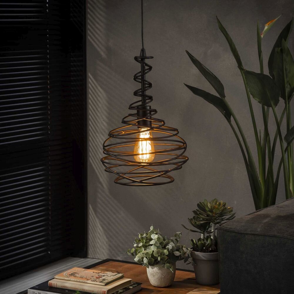 Walterswald Pendelleuchte Schwarz, 1-flammig main product photo