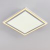Salamo LED Panel Weiß, 2-flammig
