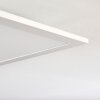 Nexo  LED Panel Weiß, 1-flammig, Fernbedienung