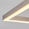 Cheka  Deckenleuchte LED Nickel-Matt, 2-flammig, Fernbedienung