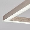 Cheka  Deckenleuchte LED Nickel-Matt, 2-flammig, Fernbedienung