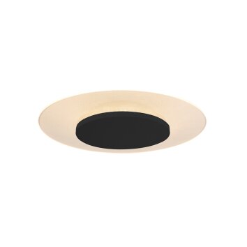 Steinhauer Lido Deckenleuchte LED Schwarz, 1-flammig Steinhauer Lido Deckenleuchte LED Schwarz, 1-flammig