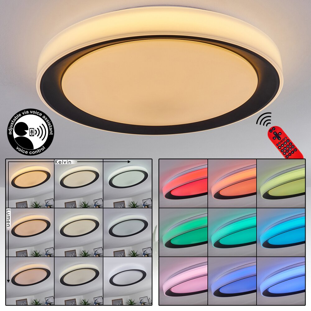 Gladstone Deckenleuchte LED Schwarz, Weiß, 1-flammig, Fernbedienung main product photo