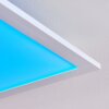 Gallitos Deckenpanel LED Weiß, 1-flammig, Fernbedienung, Farbwechsler