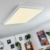 Pedemonte LED Panel Weiß, 1-flammig