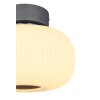 Globo BOOMER Deckenleuchte LED Anthrazit, Nickel-Matt, 1-flammig