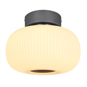 Globo BOOMER Deckenleuchte LED Anthrazit, Nickel-Matt, 1-flammig