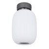 Globo BOOMER Deckenleuchte LED Anthrazit, Nickel-Matt, 1-flammig