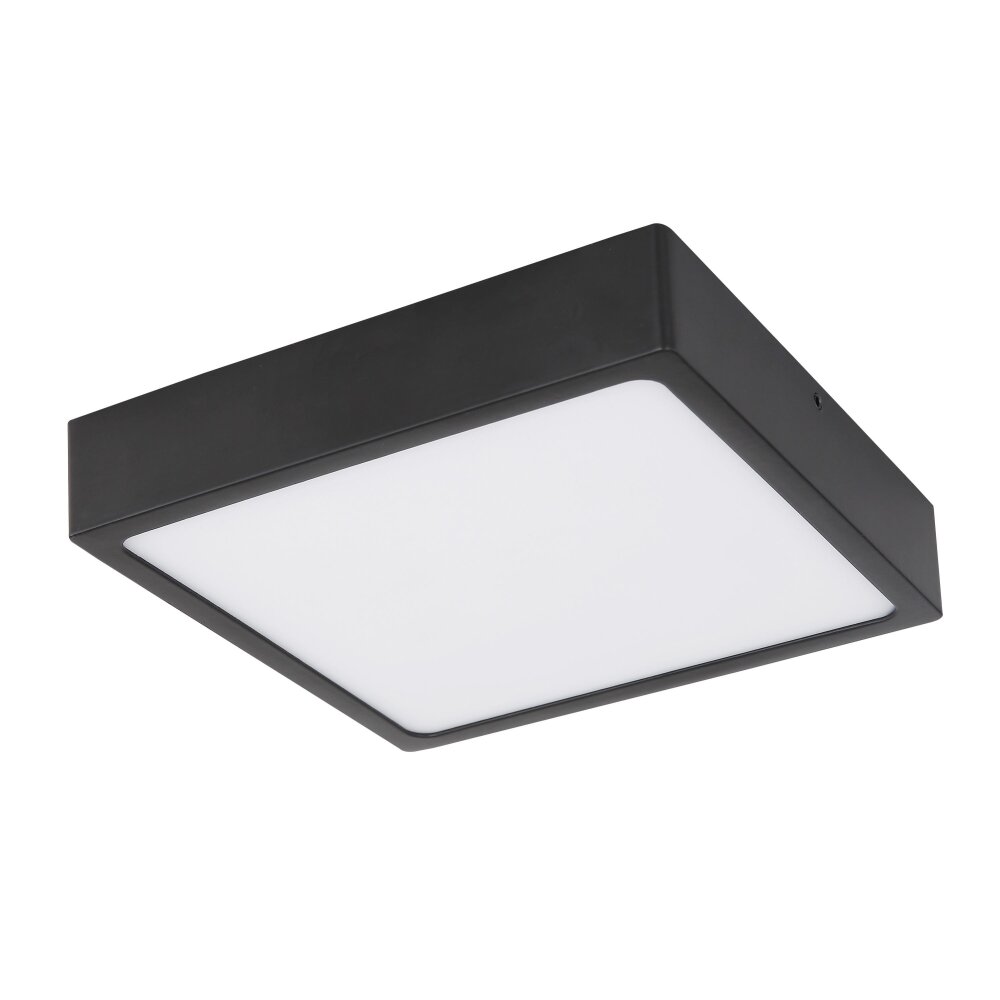 Globo ECHO Deckenleuchte LED Schwarz, 1-flammig main product photo