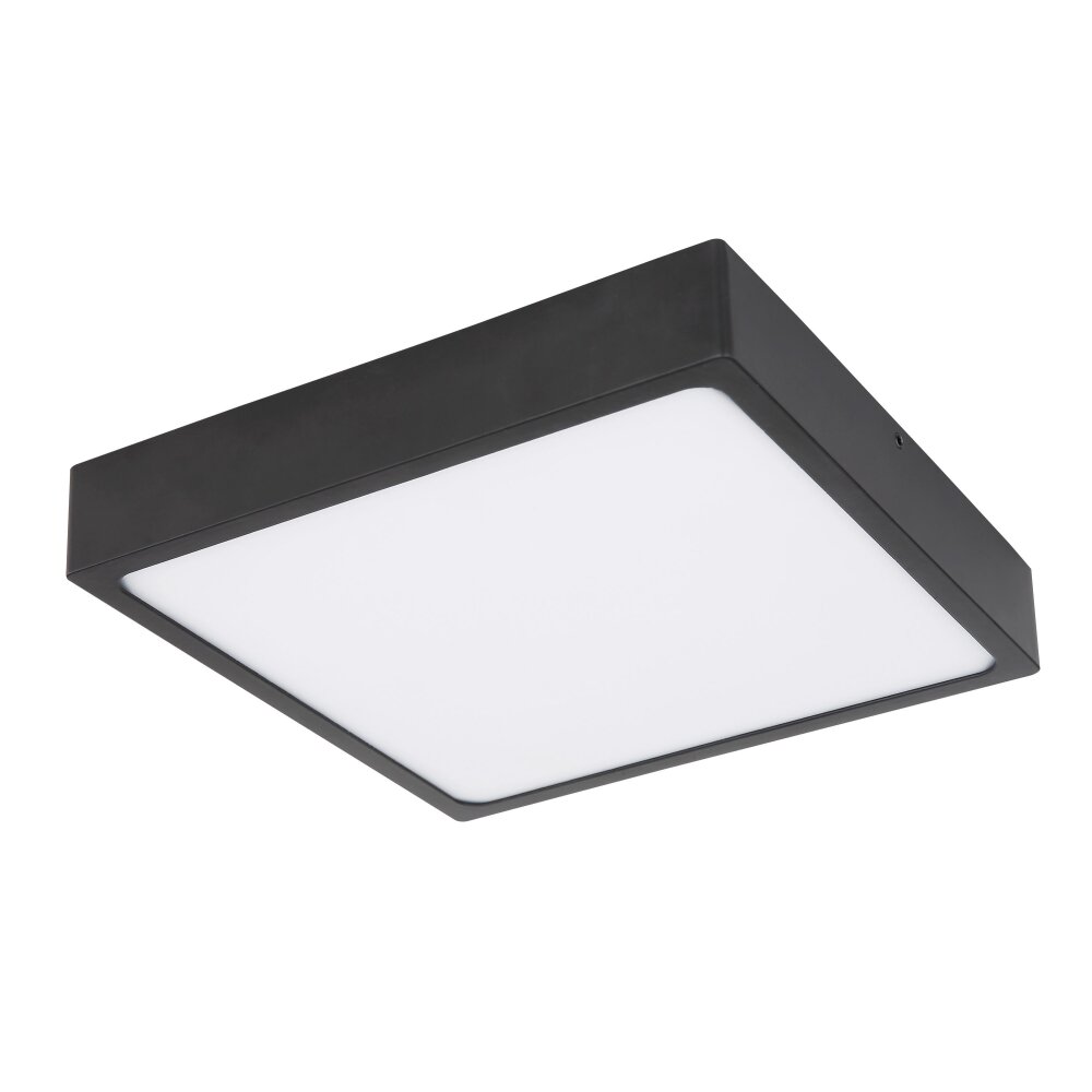 Globo ECHO Deckenleuchte LED Schwarz, 1-flammig main product photo