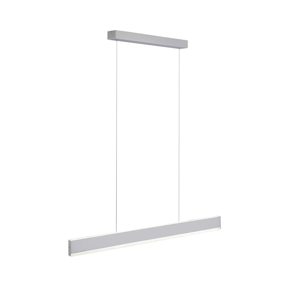Paul Neuhaus ARINA Pendelleuchte LED Edelstahl, 2-flammig, Bewegungsmelder main product photo