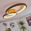 Baiyin Deckenleuchte LED Gold, 1-flammig