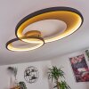 Tuzik Deckenleuchte LED Gold, Schwarz, 1-flammig