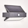 Wiborg Solar-Außenwandleuchte LED Anthrazit, 1-flammig, Bewegungsmelder