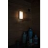 Lutec Qubo Außenwandleuchte LED Anthrazit, 1-flammig, Farbwechsler
