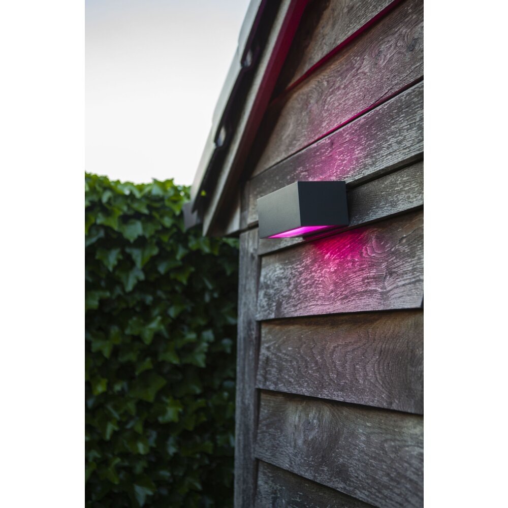 Lutec Gemini Außenwandleuchte LED Anthrazit, 2-flammig, Farbwechsler