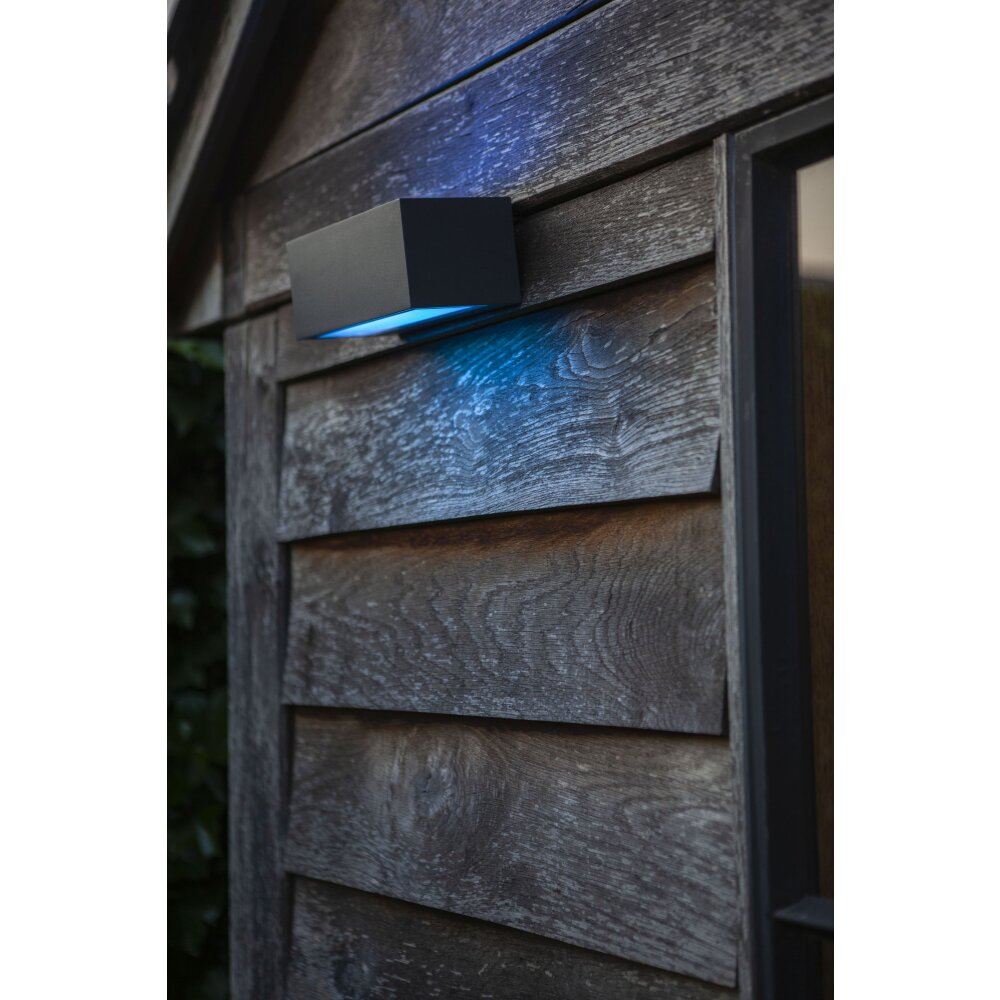Lutec Gemini Außenwandleuchte LED Anthrazit, 2-flammig, Farbwechsler