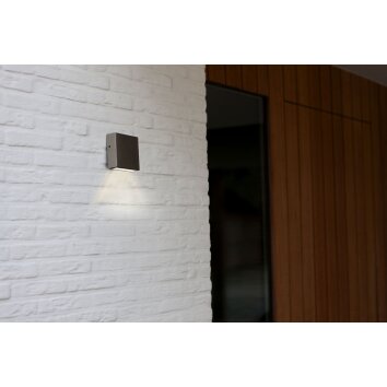 Lutec Gemini XF Außenwandleuchte LED Edelstahl, 1-flammig