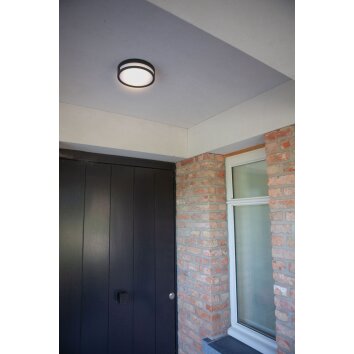 Lutec Rola Außendeckenleuchte LED Schwarz, 1-flammig