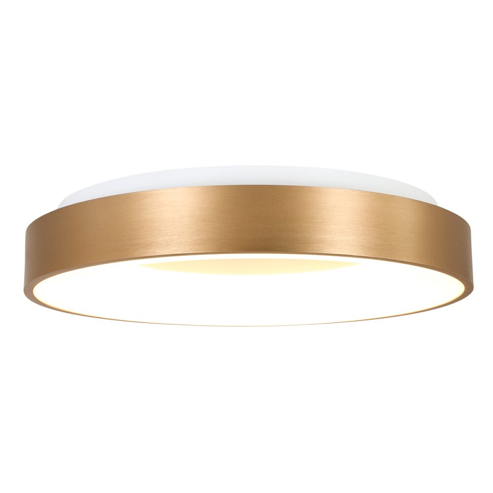 Steinhauer Ringlede Deckenleuchte Gold, Weiß, 1-flammig main product photo