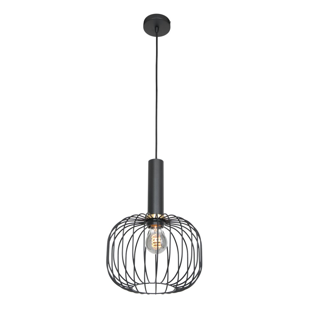 Steinhauer Aureole Pendelleuchte Schwarz, 1-flammig main product photo