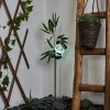 Beo Solarleuchte LED Grün, Schwarz, Weiß, 1-flammig
