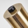 Pretoria Stehleuchte Gold, Schwarz, 2-flammig