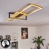 Omega  Deckenleuchte LED Schwarz, 1-flammig