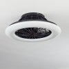 Piraeus  Deckenventilator LED Schwarz, 1-flammig, Fernbedienung