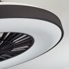 Qualiano Deckenventilator LED Schwarz, Weiß, 1-flammig, Fernbedienung